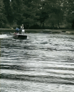 daily gifdump 48 gifs 6.html - 1 HD GIF | Premium Gallery 2026