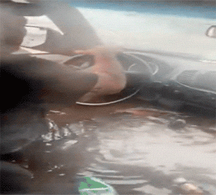 these rides are built different 32 pics 5.html - 32 HD Photos | Premium Gallery 2026