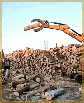 daily gifdump 49 gifs 9.html - 1 HD GIF | Premium Gallery 2026