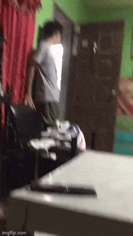 daily gifdump 49 gifs 9.html - 1 HD GIF | Premium Gallery 2026