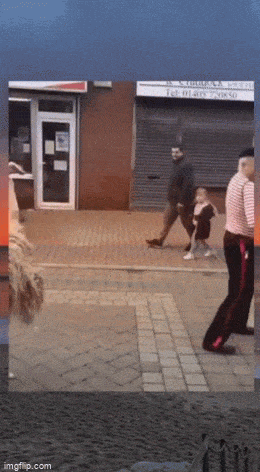 daily gifdump 49 gifs 9.html - 1 HD GIF | Premium Gallery 2026