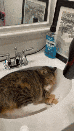 daily gifdump 49 gifs 9.html - 1 HD GIF | Premium Gallery 2026