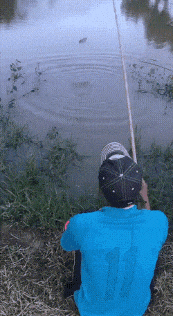 daily gifdump 49 gifs 9.html - 1 HD GIF | Premium Gallery 2026