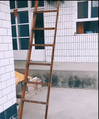 daily gifdump 49 gifs 9.html - 1 HD GIF | Premium Gallery 2026