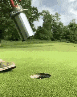 daily gifdump 49 gifs 9.html - 1 HD GIF | Premium Gallery 2026