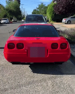 daily gifdump 49 gifs 9.html - 1 HD GIF | Premium Gallery 2026