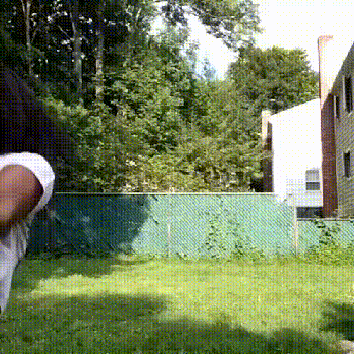 daily gifdump 49 gifs 9.html - 1 HD GIF | Premium Gallery 2026