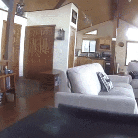 daily gifdump 49 gifs 9.html - 1 HD GIF | Premium Gallery 2026