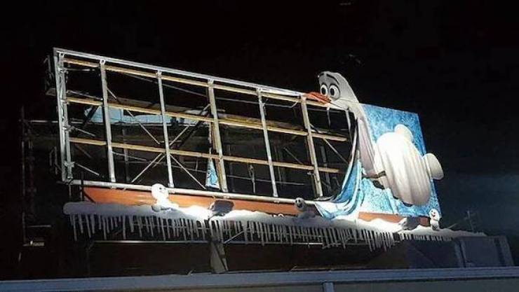 daily picdump 46 pics 9.html - 46 HD Photos | Premium Gallery 2026