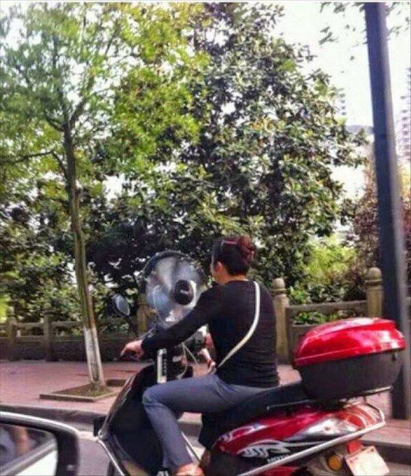 daily picdump 46 pics 9.html - 46 HD Photos | Premium Gallery 2026