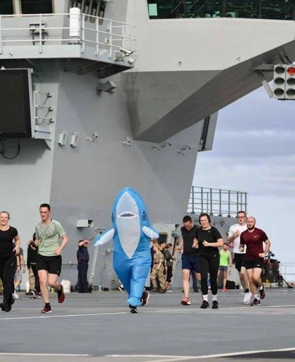 daily picdump 46 pics 9.html - 46 HD Photos | Premium Gallery 2026