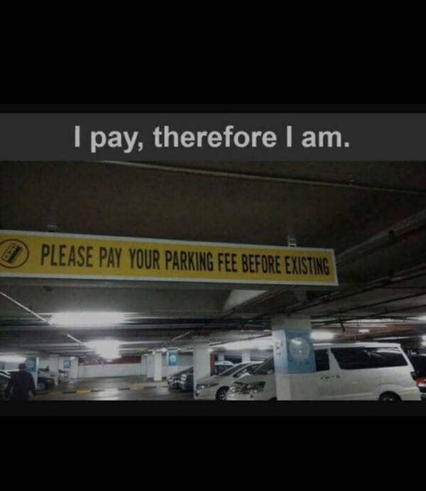 Lost in Translation (But Still Funny)