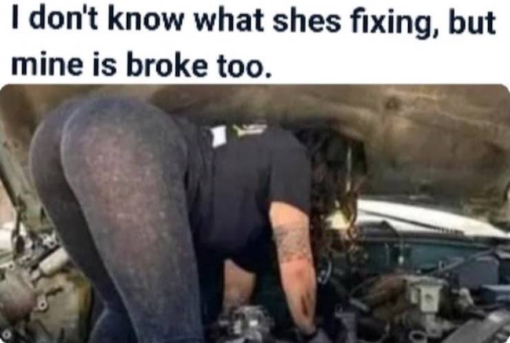 wisdumb memes at maximum capacity 37 pics 9.html - 37 HD Photos | Premium Gallery 2026