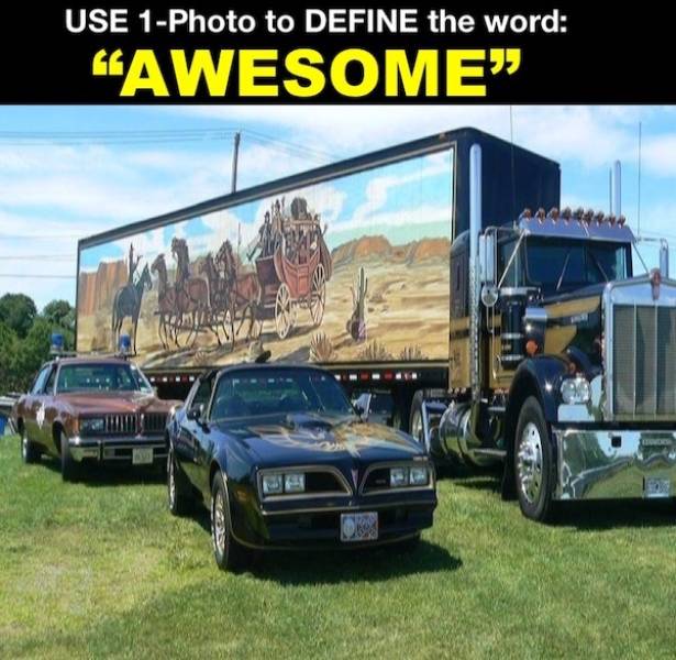 wisdumb memes at maximum capacity 37 pics 9.html - 37 HD Photos | Premium Gallery 2026