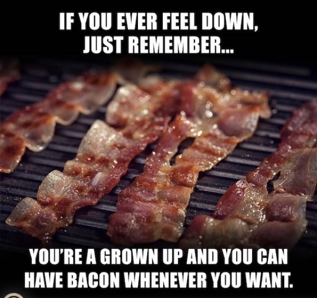 wisdumb memes at maximum capacity 37 pics 9.html - 37 HD Photos | Premium Gallery 2026