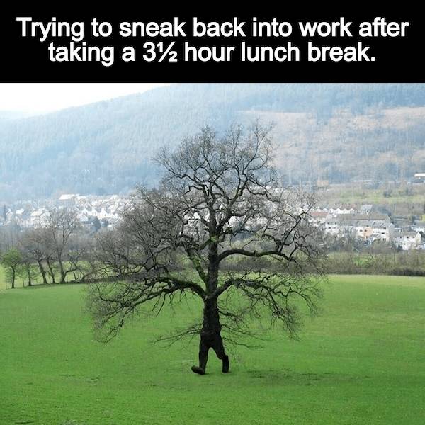 wisdumb memes at maximum capacity 37 pics 9.html - 37 HD Photos | Premium Gallery 2026