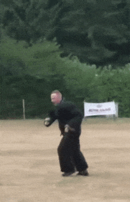 daily gifdump 56 gifs 6.html - 1 HD GIF | Premium Gallery 2026