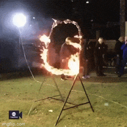 daily gifdump 56 gifs 6.html - 1 HD GIF | Premium Gallery 2026