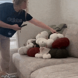 daily gifdump 56 gifs 6.html - 1 HD GIF | Premium Gallery 2026