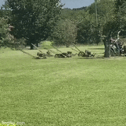 daily gifdump 56 gifs 6.html - 1 HD GIF | Premium Gallery 2026