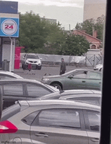 daily gifdump 56 gifs 6.html - 1 HD GIF | Premium Gallery 2026