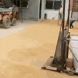 daily gifdump 56 gifs 6.html - 1 HD GIF | Premium Gallery 2026