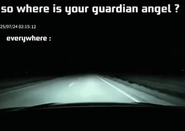 daily gifdump 56 gifs 6.html - 1 HD GIF | Premium Gallery 2026