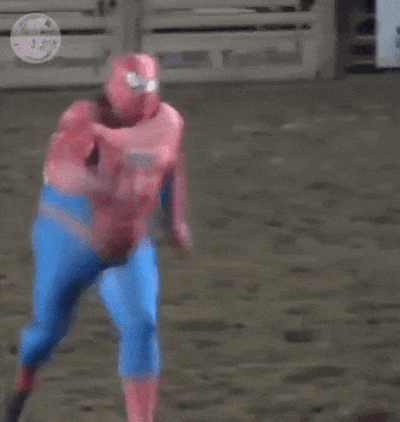 daily gifdump 56 gifs 6.html - 1 HD GIF | Premium Gallery 2026