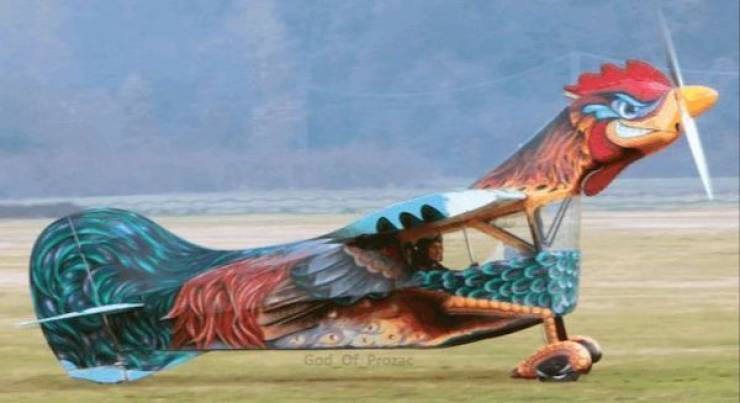 daily picdump 37 pics 3.html - 37 HD Photos | Premium Gallery 2026