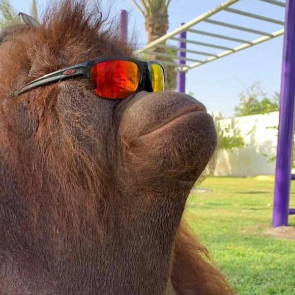 daily picdump 37 pics 3.html - 37 HD Photos | Premium Gallery 2026