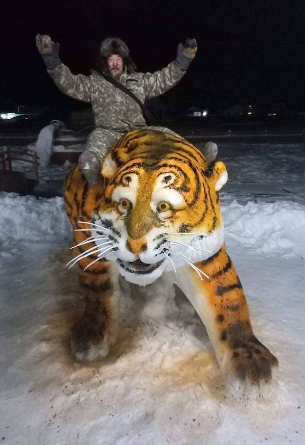 daily picdump 37 pics 3.html - 37 HD Photos | Premium Gallery 2026