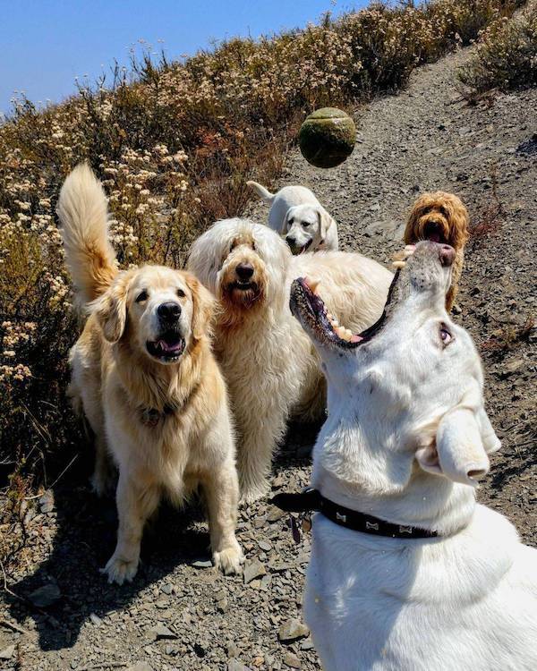 daily picdump 37 pics 3.html - 37 HD Photos | Premium Gallery 2026