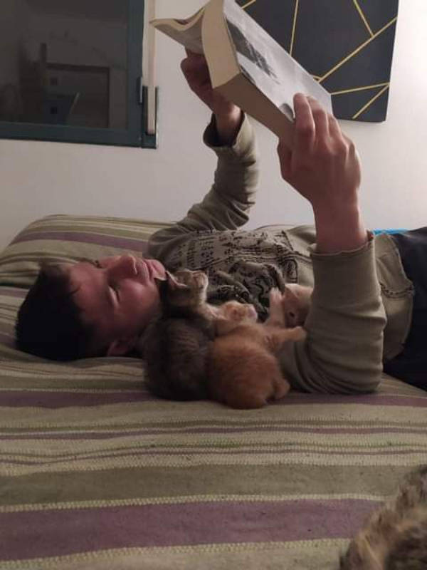 The Funniest Creatures on the Internet