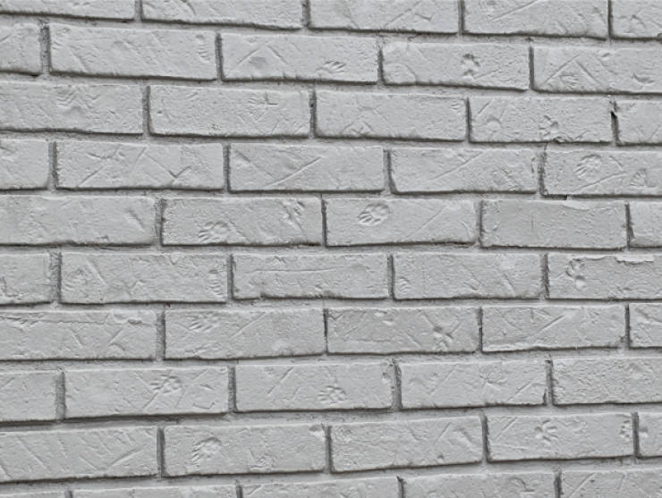 Unexpectedly Awesome Moments