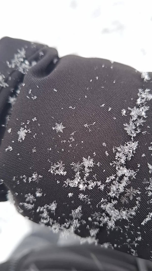 Unexpectedly Awesome Moments