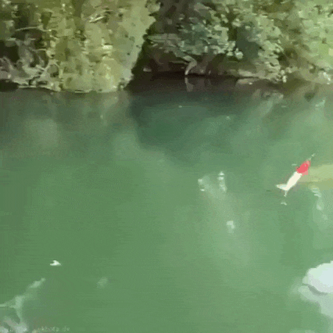 daily gifdump 53 gifs 9.html - 1 HD GIF | Premium Gallery 2026