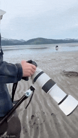 daily gifdump 53 gifs 9.html - 1 HD GIF | Premium Gallery 2026