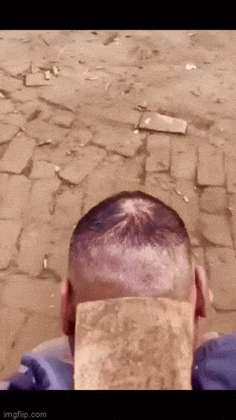 daily gifdump 53 gifs 9.html - 1 HD GIF | Premium Gallery 2026