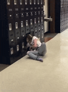 daily gifdump 53 gifs 9.html - 1 HD GIF | Premium Gallery 2026