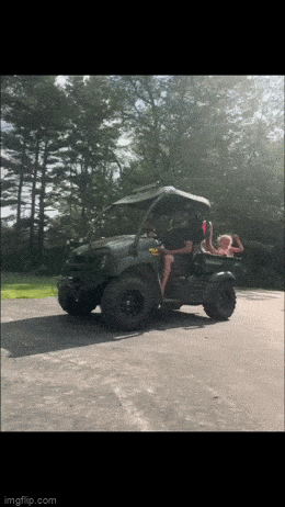 daily gifdump 53 gifs 9.html - 1 HD GIF | Premium Gallery 2026