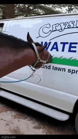 daily gifdump 53 gifs 9.html - 1 HD GIF | Premium Gallery 2026