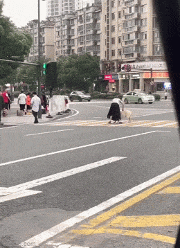 daily gifdump 53 gifs 9.html - 1 HD GIF | Premium Gallery 2026