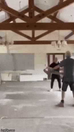 daily gifdump 53 gifs 9.html - 1 HD GIF | Premium Gallery 2026