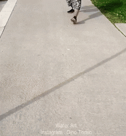 daily gifdump 53 gifs 9.html - 1 HD GIF | Premium Gallery 2026