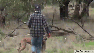 daily gifdump 53 gifs 9.html - 1 HD GIF | Premium Gallery 2026