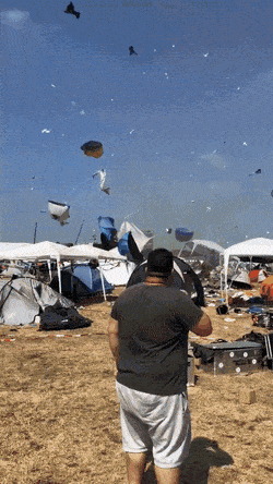 daily gifdump 53 gifs 9.html - 1 HD GIF | Premium Gallery 2026