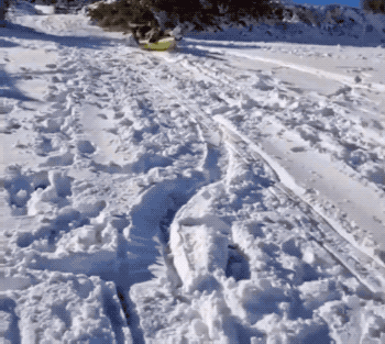 epic fails one gif at a time 24 gifs 6.html - 1 HD GIF | Premium Gallery 2026