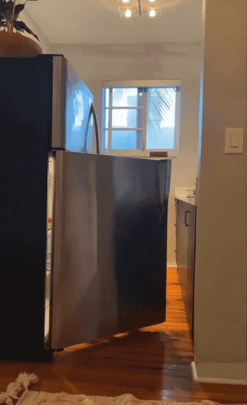 epic fails one gif at a time 24 gifs 6.html - 1 HD GIF | Premium Gallery 2026