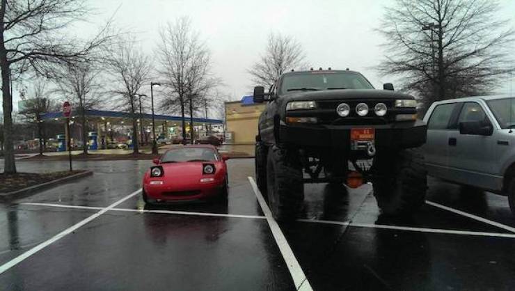 daily picdump 45 pics 5.html - 45 HD Photos | Premium Gallery 2026