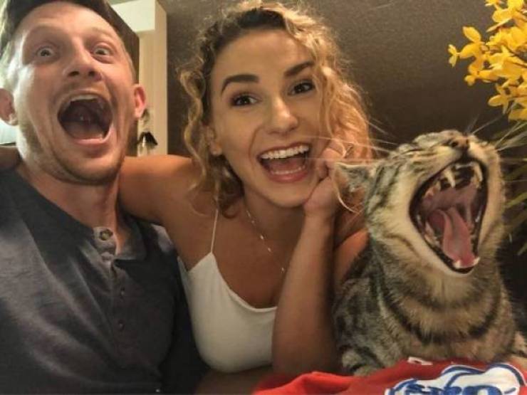 daily picdump 45 pics 5.html - 45 HD Photos | Premium Gallery 2026